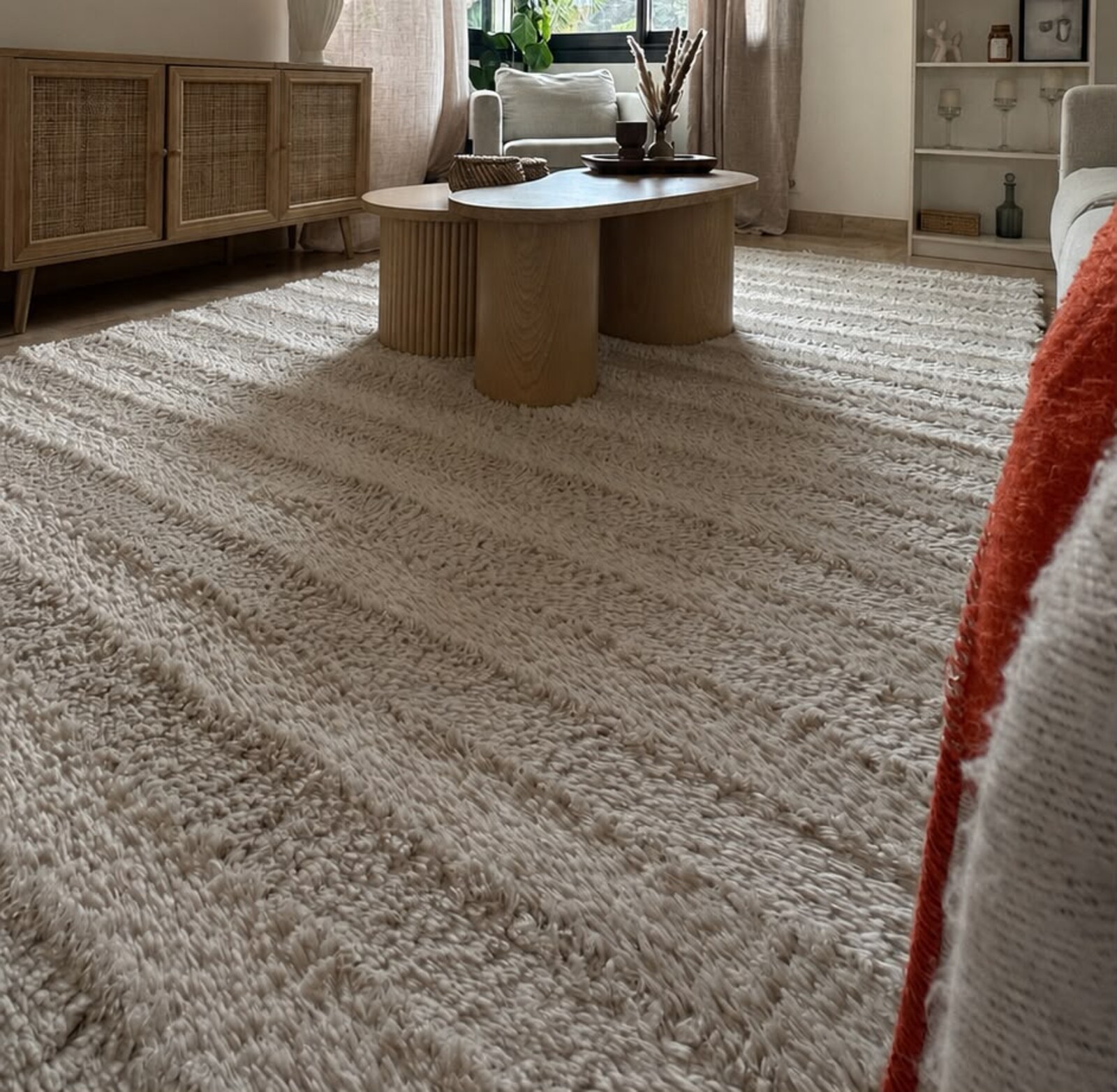 Nettoyage professionnel tapis & moquettes à domicile